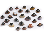 SMALL SHIVA EYES 6854